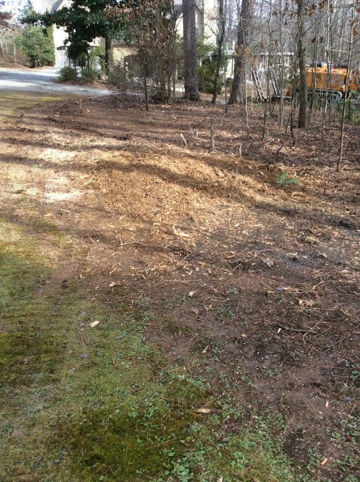 Freshly mulched residential bed and cleared area with C&C Tree Service equipment in the background