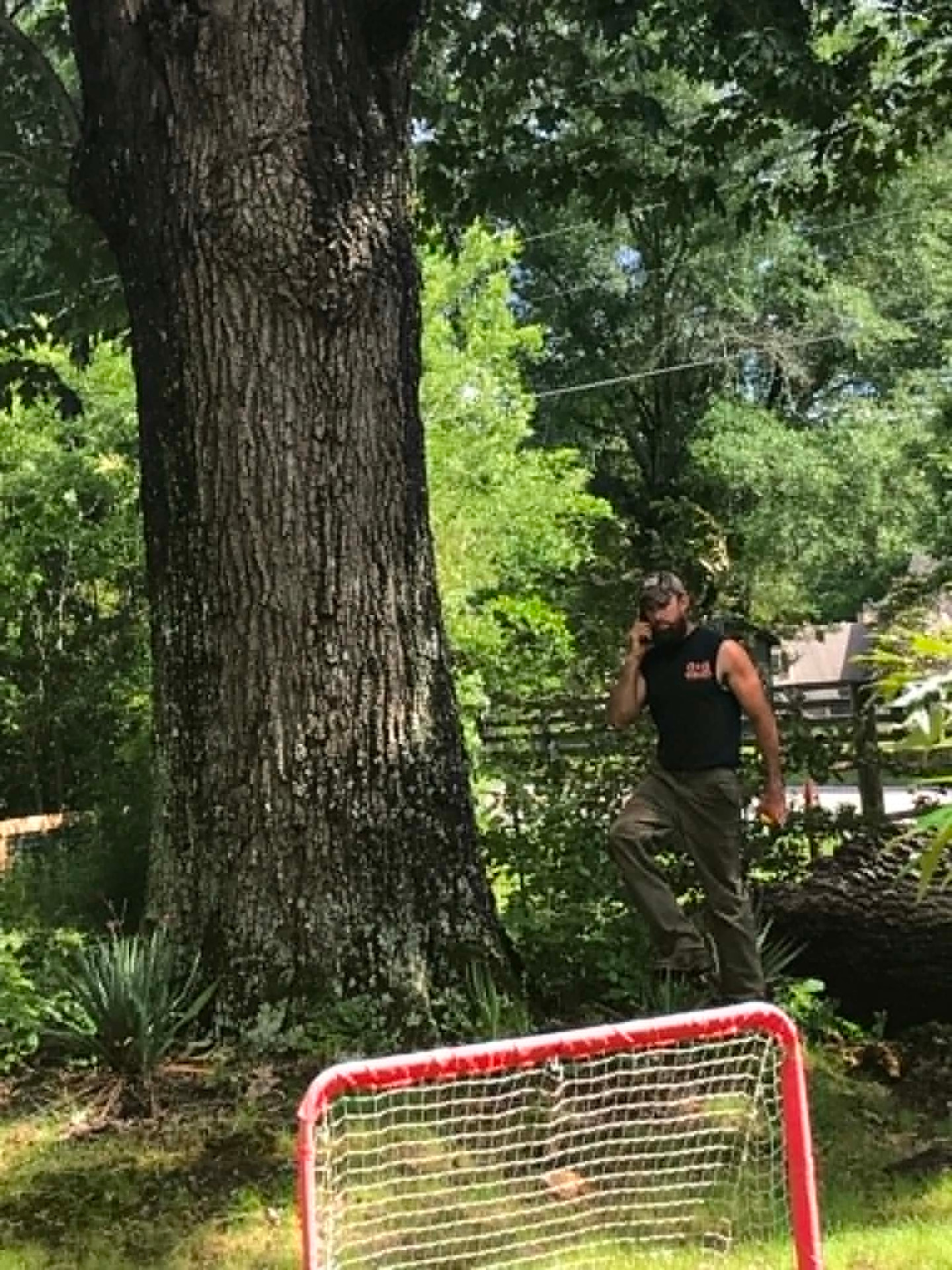 Arborist trimming limbs beside a home in Canton, Georgia