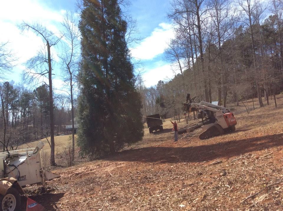 C&C Tree Service skid steer and chipper clearing an overgrown lot for site preparation